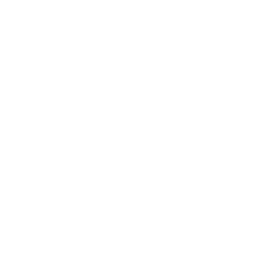 DigiDuo Studio